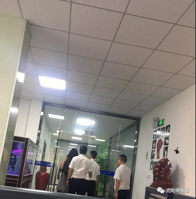 勢不可擋|國內(nèi)外客戶千里迢迢親臨元?jiǎng)t繼電器參觀考察！